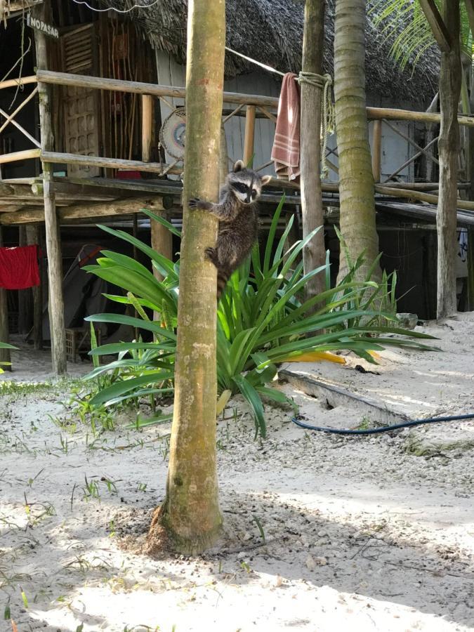 Chavez Eco Beach Camping And Cabanas Tulum Bagian luar foto